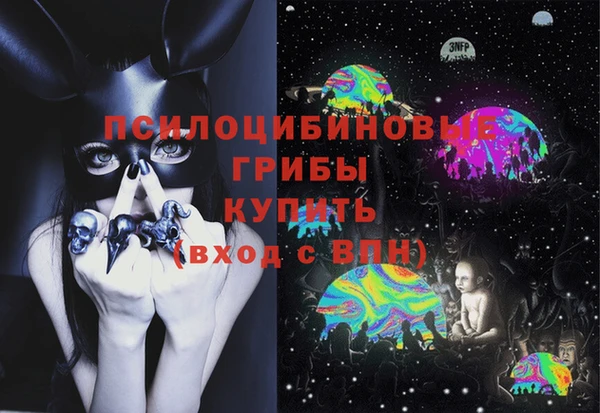 spice Костерёво