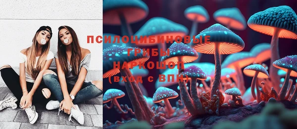 spice Костерёво