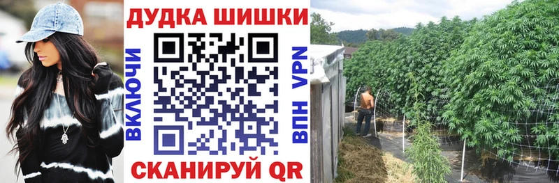 Купить закладки  Аркадак  Бошки Шишки индика 